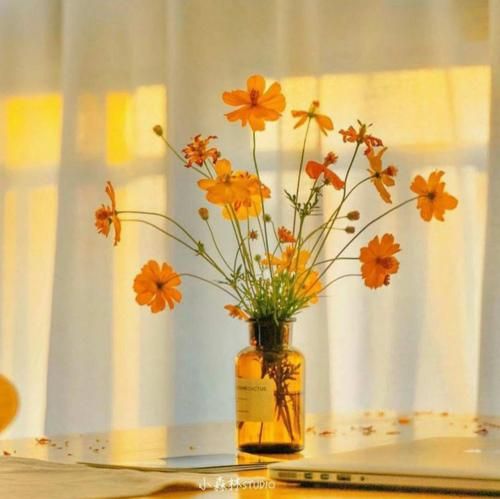 این جا همه چی عینه قدیمه چیزی فرق نکرده