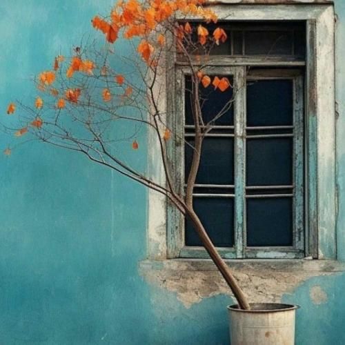 دلو میدزده صدا وویست بریم خرید کن همه چی بردار تو