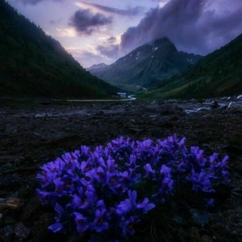 با اینکه میدونم دروغ بود اون حرفات عشق آخر