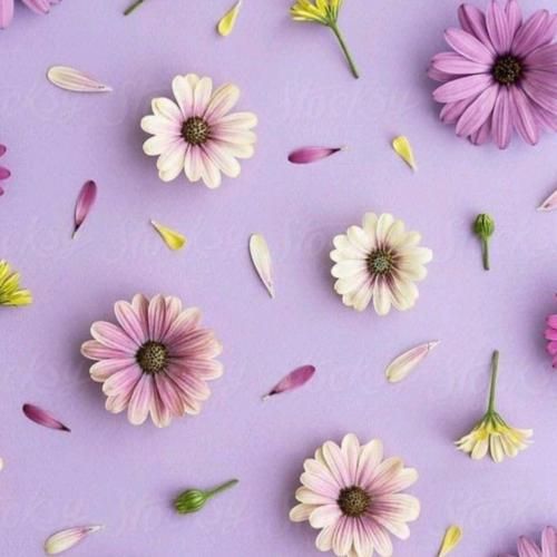  اگه ابر بارون بشه بارون بی امون بشه