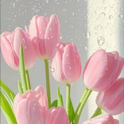  خذنی بحضنک أبی أغفی آه مبطی ماغفیت