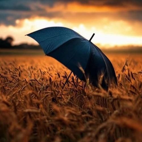 روی موج تنت قفل بشه سر سر صبح میکنم از تن کاپشنو