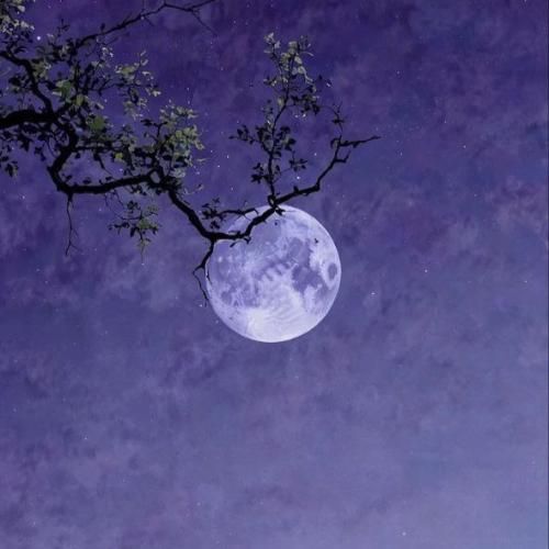 تا اومد یادم بره باز اعتماد کردم و حالم کدر