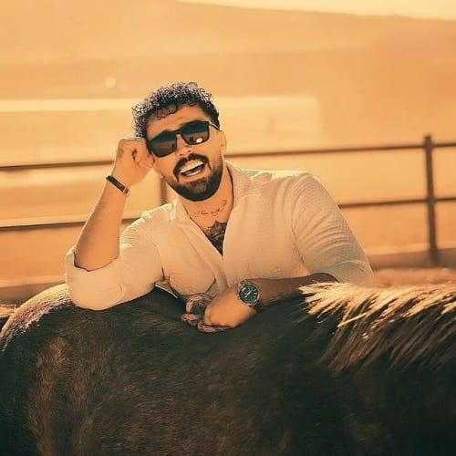 پوریا محمدی ویرانگر