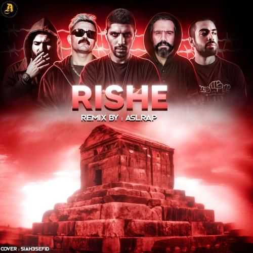 اصل رپ ریشه