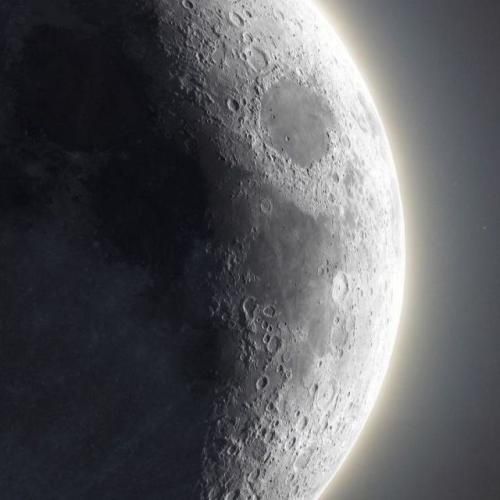 شاید فردا پس بگیرم هرچی الان میگم بهت