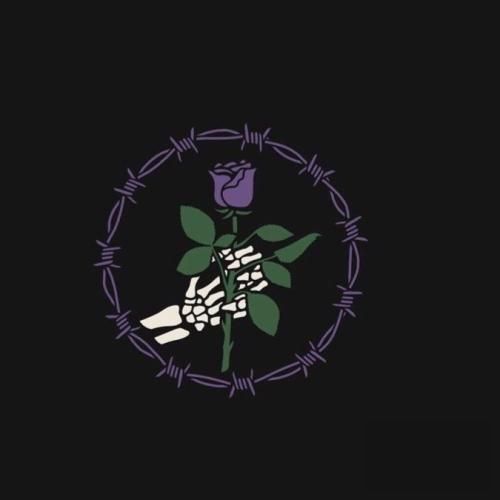 بعضی وقتا دلت پره برات مهم نی هیچکسی ولت کنه