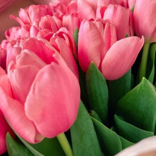 من وفادار تو ام تا قیامت سمت چشمای تو میکنم (هوش مصنوعی)