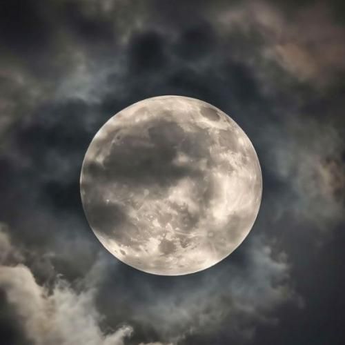 میزدیم قید همو اگه چاره داشت ولی نداره اون چشم های