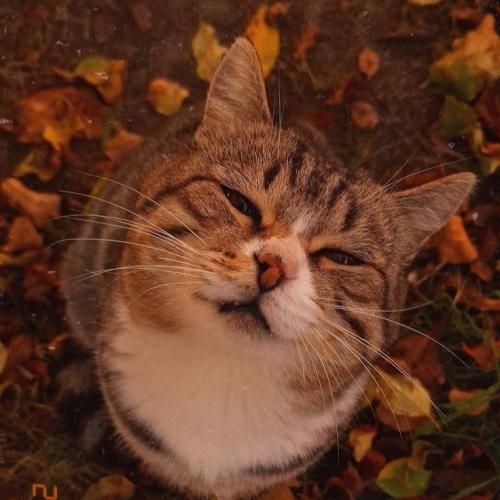 شیشو هشتای ما جر داده شیش هفت هشت