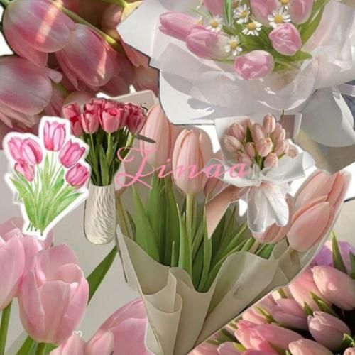 اگه فک میکنی رقیبی بام نرینی داش