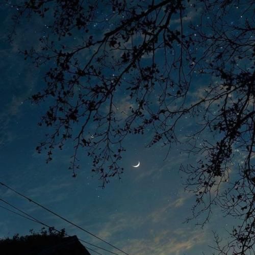 دورو ورمون پر شده از لاشخور و حسود مفت خور سگ