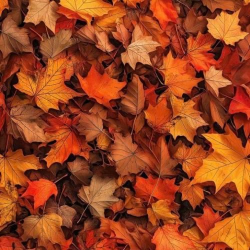 کشتی منم و تو ناخدا بو غرق شدن میاد با شما