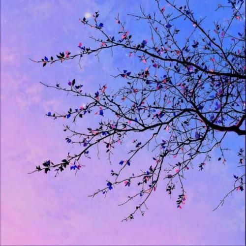 دانلود آهنگ جدید عشق یعنی دعای مامان پشت سرم