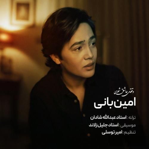 آهنگ جدید وقتی عاشق شوی از امین بانی