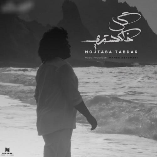 آهنگ جدید گل خاکستری از مجتبی تابدار