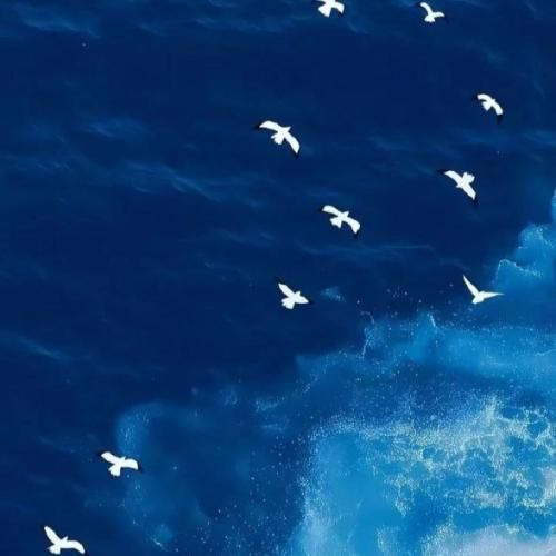 دانلود آهنگ جدید رسیده وقت رفتن هرچند من از خونه خیلی وقته رفتم