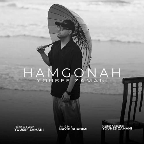 آهنگ جدید هم گناه از یوسف زمانی