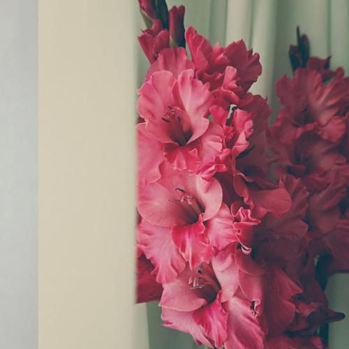 دانلود آهنگ جدید منی که تخس بودم نمی‌گرفت گریم الان یسره بارونیه