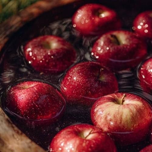 دانلود آهنگ جدید تا بوده همین قدر همو نمیدونیم تا مال همیم