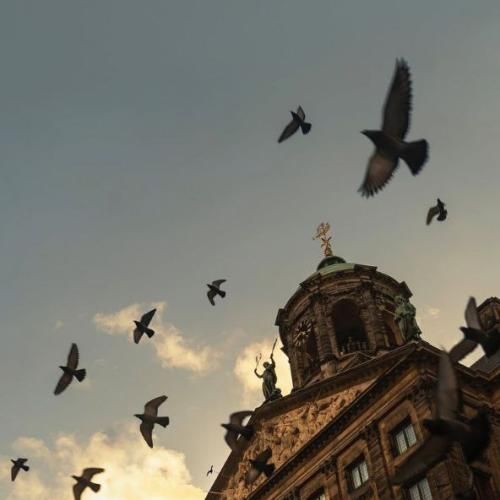 دانلود آهنگ جدید سگ دو میزنم ولی پول نیست مامان