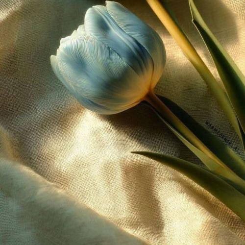 دانلود آهنگ جدید همه قفلن همه بی کلید پر توقع پرو چش سفید