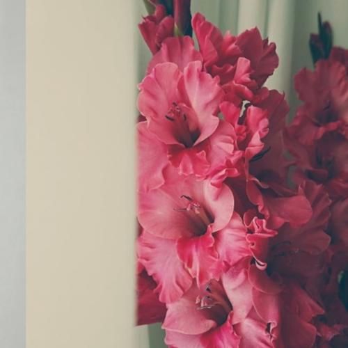 آهنگ جدید سراب از سنا برزنجه