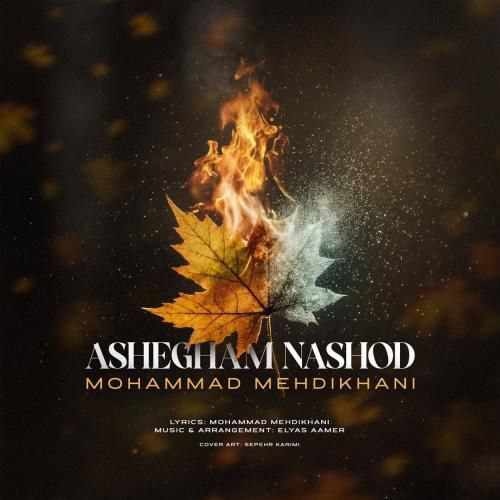 آهنگ جدید عاشقم نشد از محمد مهدی خواه