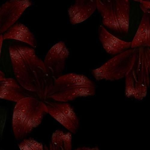 دانلود آهنگ جدید مهم نی از جیبم هرچی درآد ولی تقریبا حال میده بعضی شبا