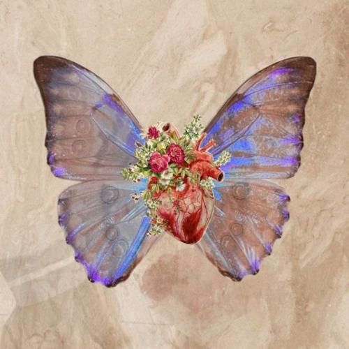 انت حبیبی انت حیاتی انت حبیبی