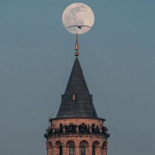 دانلود آهنگ جدید دور بود دنیات از دنیام این دیونه مغرور بود