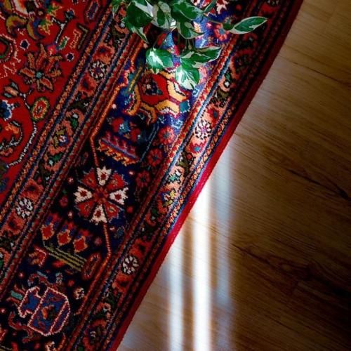  من نگاهم دیگه دنبال تو نیست دلمو پس میگیرم