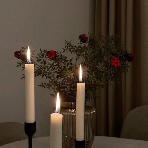 دانلود آهنگ جدید بگو حال میکنی یا نه میسپاری دل مارو