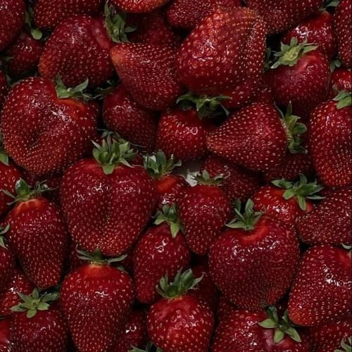 دانلود آهنگ جدید سال دیگه همین موقع میبرمت میامی بچه تهران