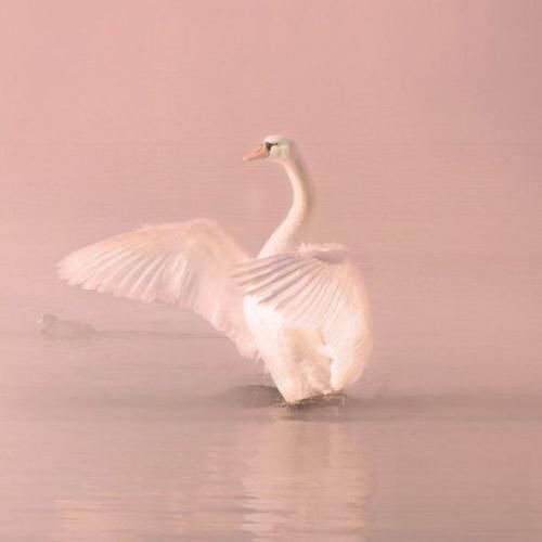 دانلود آهنگ جدید ازت میگیرم حس بهتر پایینو نگاه نکن سیفه بپر