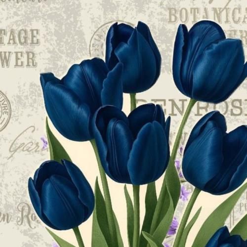 دانلود آهنگ جدید نمیخوامت حتی توی فیک پیجم میرم زیاد بالا