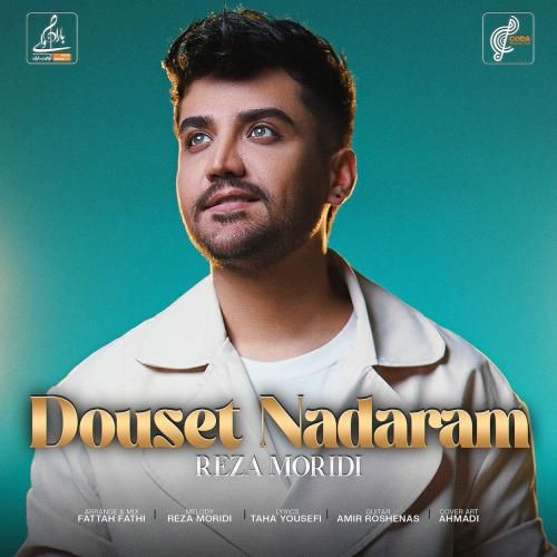 آهنگ جدید دوست ندارم از رضا مریدی