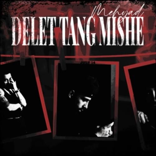 مهیاد دلت تنگ میشه