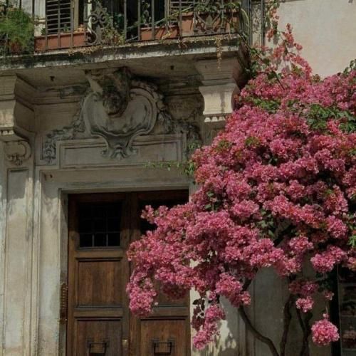 دانلود آهنگ جدید امشب این مسکنا هم کم نکرد آتیشمو (هوش مصنوعی)