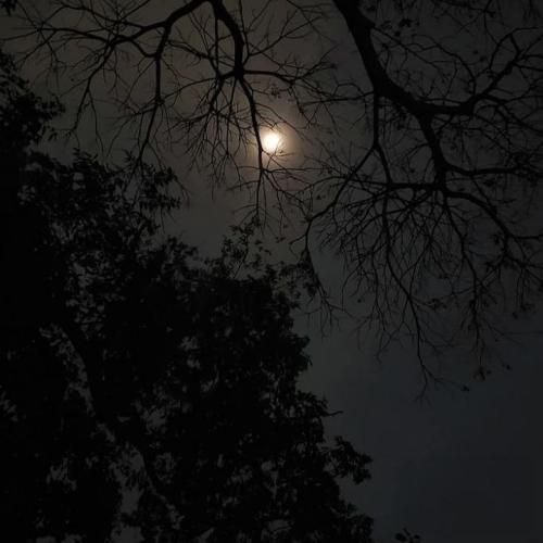 دانلود آهنگ جدید من جونمو دادم ایرانمو بده وضو با خون میگیره