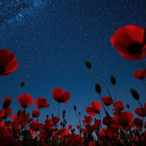 دانلود آهنگ جدید امیدمون به تهش بود اینم از این آخری نشونم بده بینم