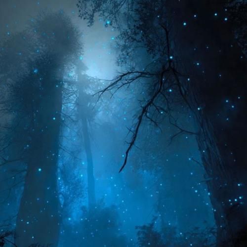 دانلود آهنگ جدید به رفیقام بگو دمشون گرم دیگه نپوشن پیرهن سیاه