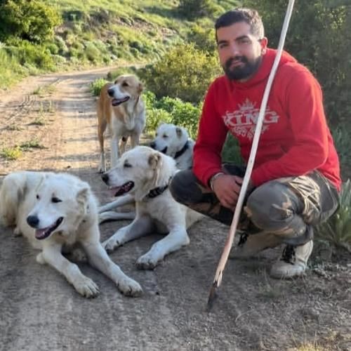 مهدی کارگر جان مار