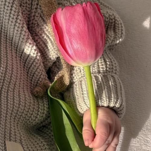 دانلود آهنگ جدید مثل من کی مگه میشد هی عاشقت